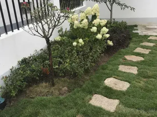 Yulin Xiaozhu Homestay (Shanghai Safari Park)