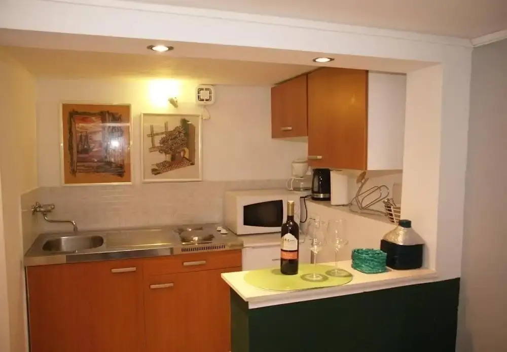 Apartment Vedro