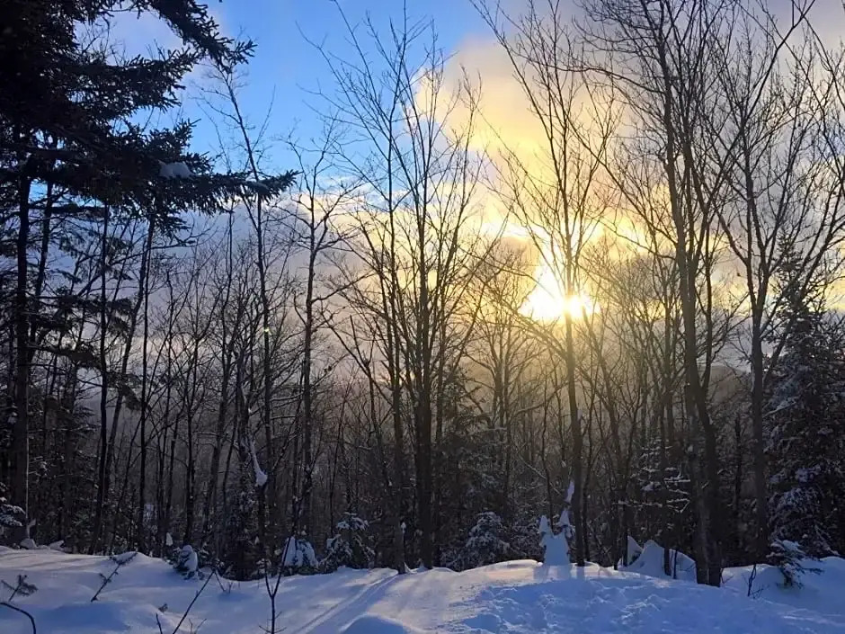 Loft Nature Laurentides