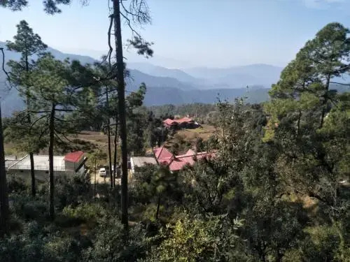 Binsar Oak Paradise