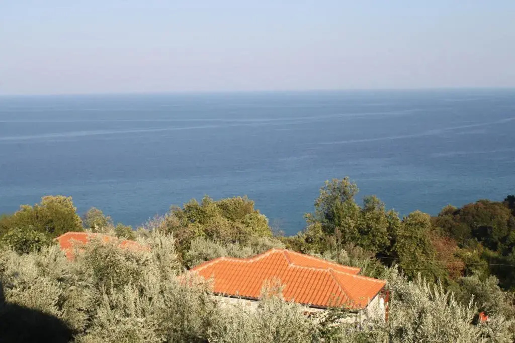 Orlys Villas