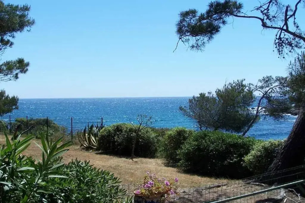 LA CALANQUE 263