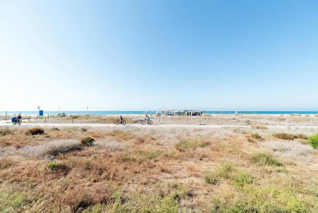 Apartamento Denis Playa 7