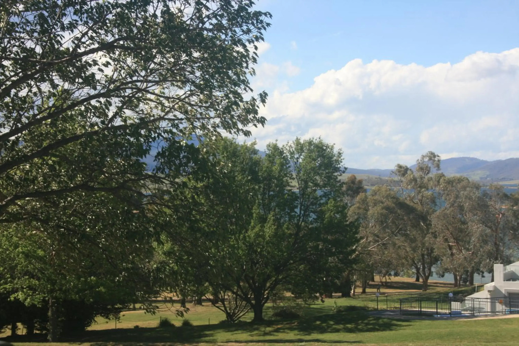 Jindy Inn