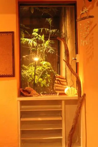 guest house Holoholo Ishigakijima