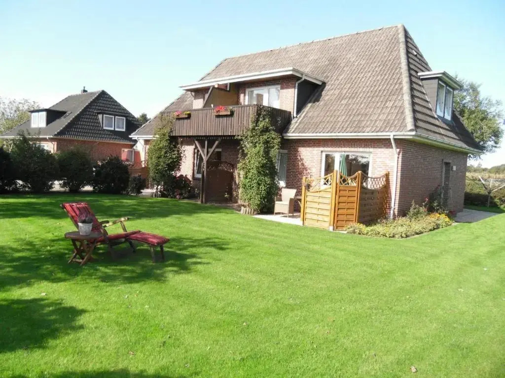Haus-Seeschwalbe