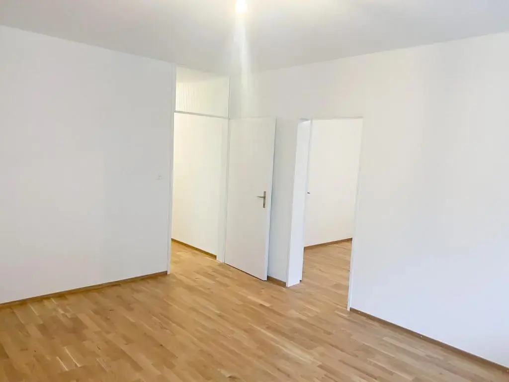 Messe - Art Basel 2 Zimmer Wohnung