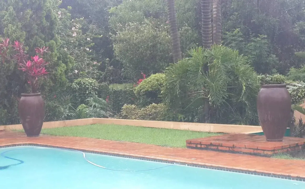 Damicha Boutique Lodge