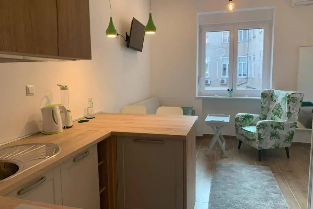 Studio apartment in center of Zagreb "Vidra"