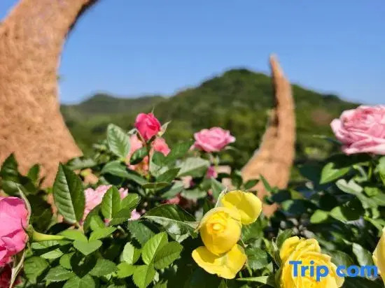 Shanyuehai Homestay