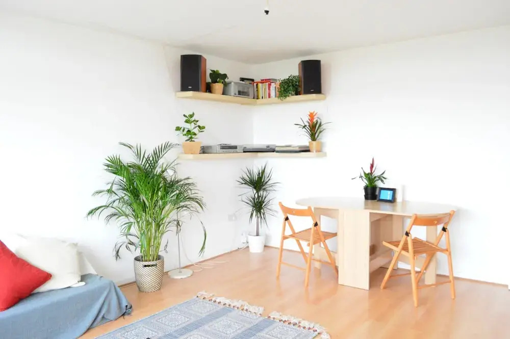 Spacious 1 Bedroom Apartment in Homerton