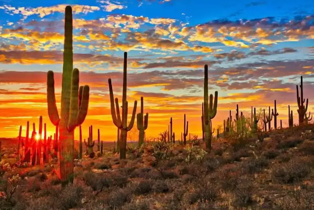 Sonesta Tucson