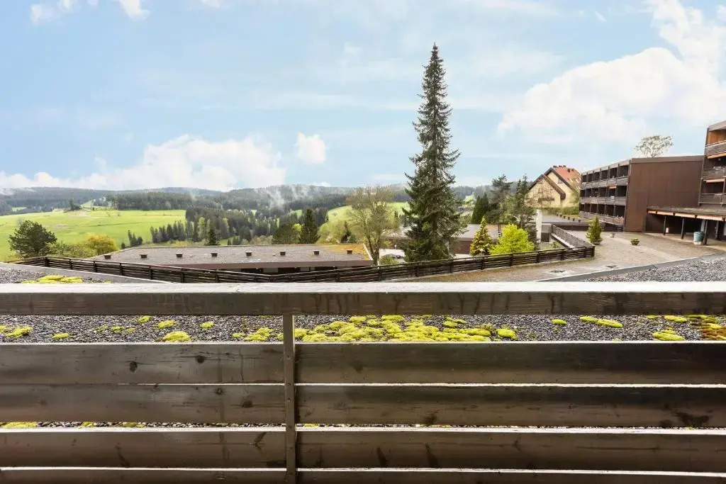 Terrassenpark Schonach App 161