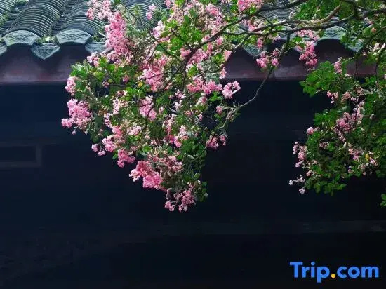 Qingcheng Mountain Wild Resort