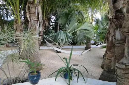 Villa Tropica
