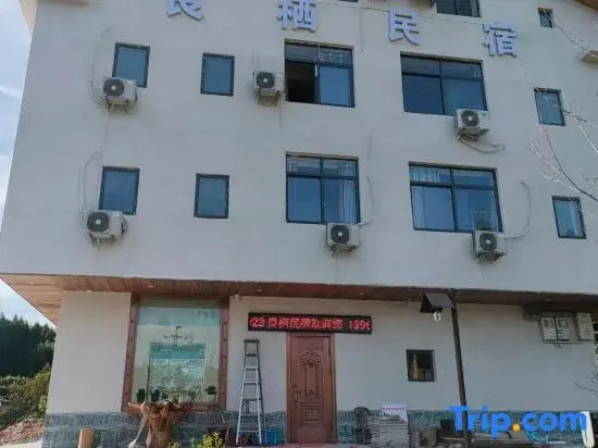 Liangqi Homestay