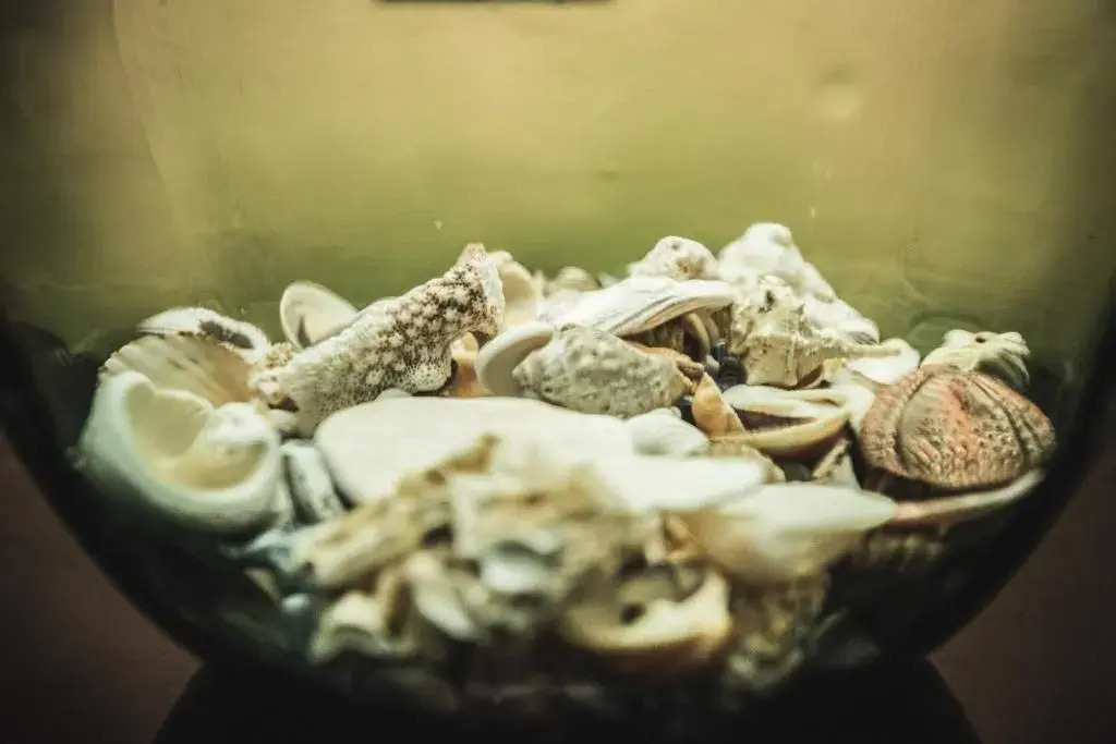 Sailors Rest Riomaggiore - Cinque Terre