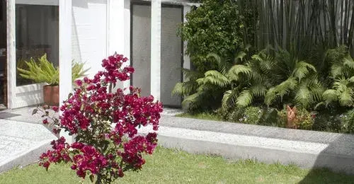 Hostal De Federman