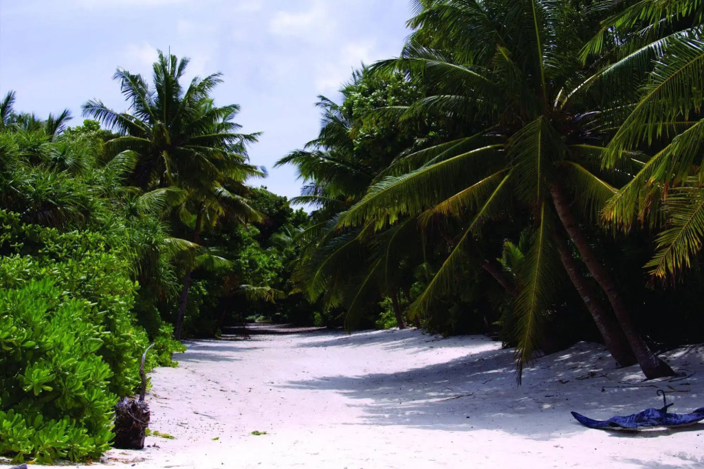 Faima Fishing Lodge at Daravandhoo