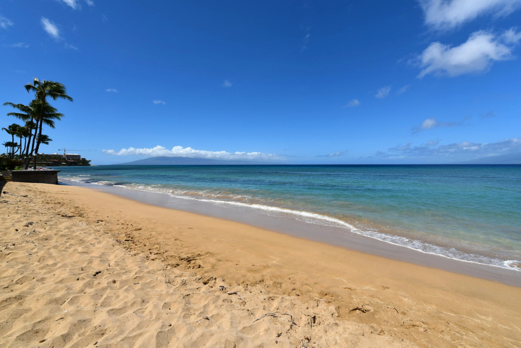 Kaleialoha 409