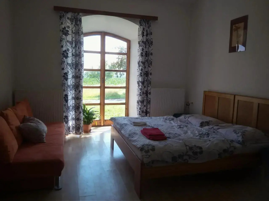 Dvůr v Borovné