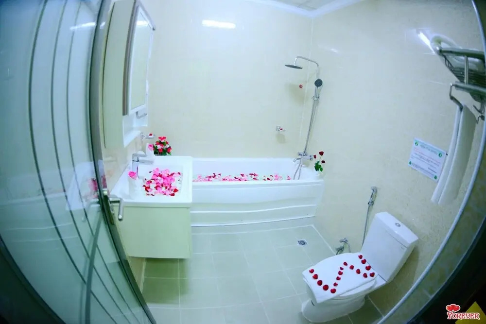 Vega Star Hotel