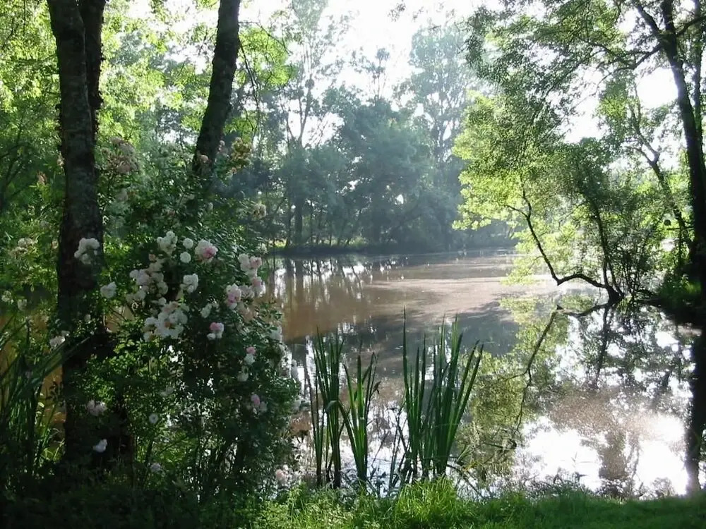 Domaine des Etangs de Bois Robert