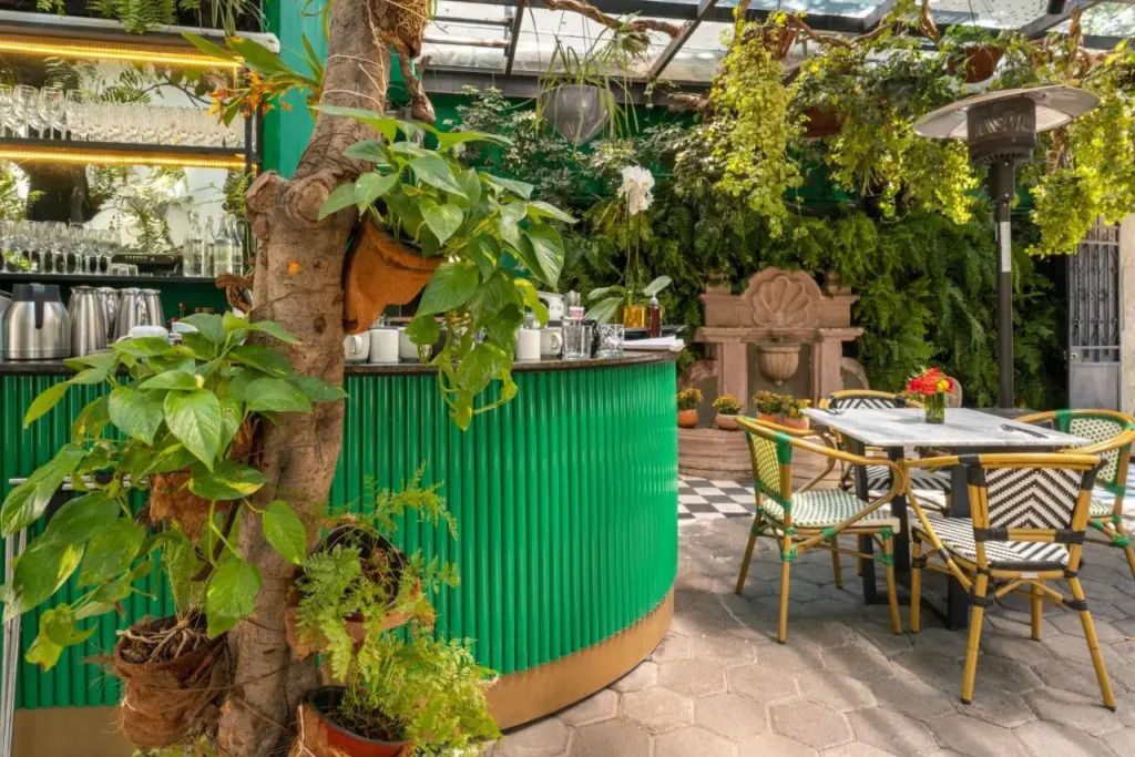 Orchid House Mexico City
