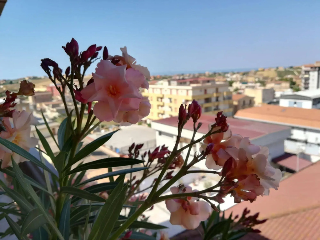 Casa Fiorita Bed and Breakfast