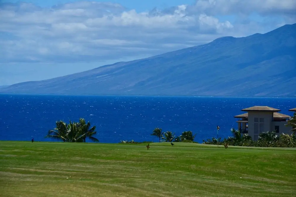 Kapalua Golf Villa 25V2