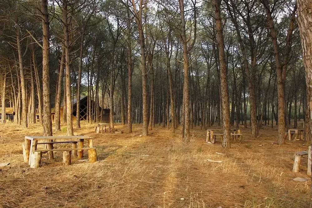 Falanto Camping Village