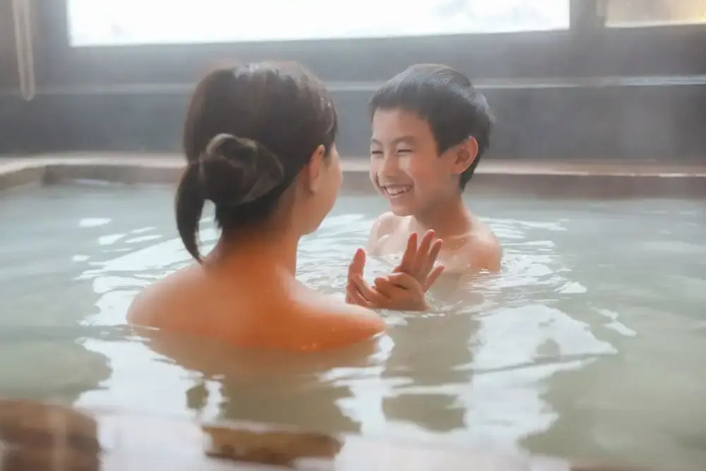 Отель Ajisai Onsen Ryokan