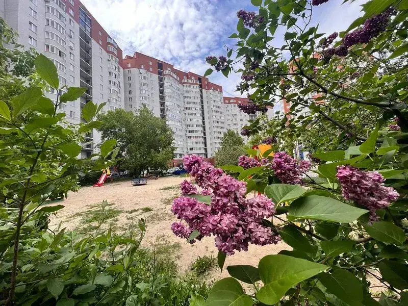 Voyage apartment on 50 let VLKSM street, 19