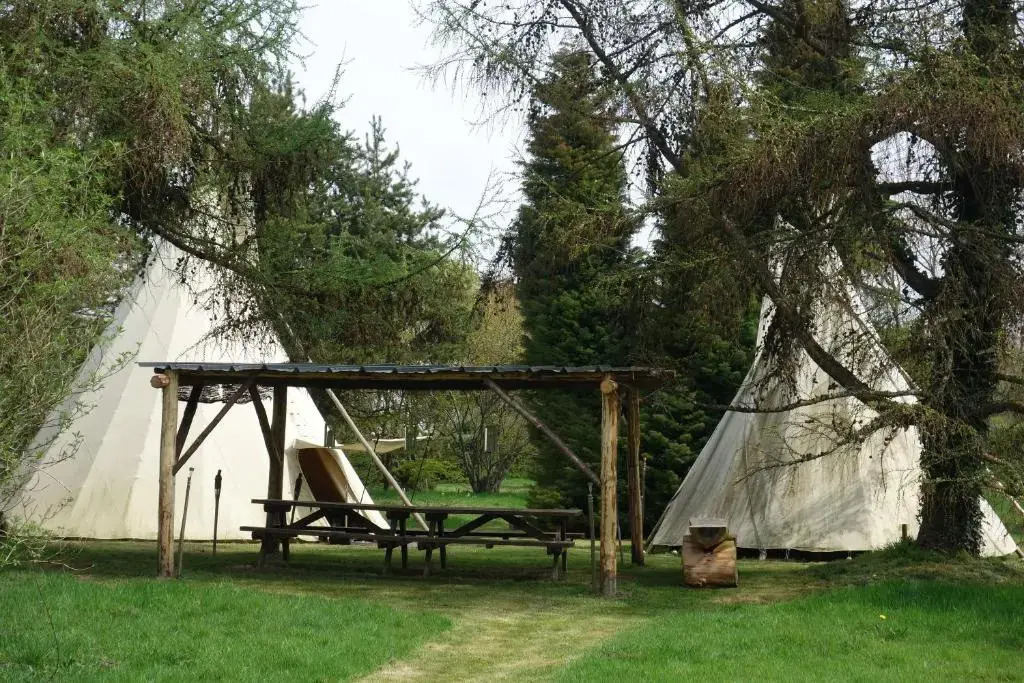 Levaltipis