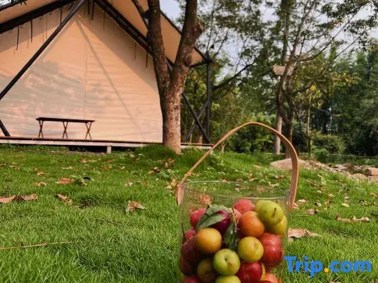 Relaxland Glamping (Guangzhou Zengcheng Baishuizhai Branch)