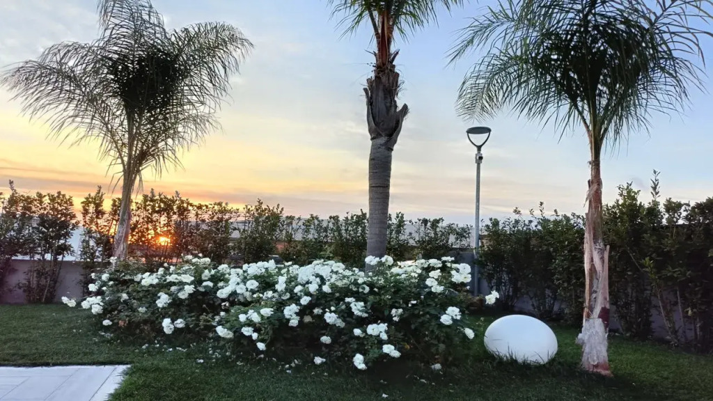 Hotel Ohana