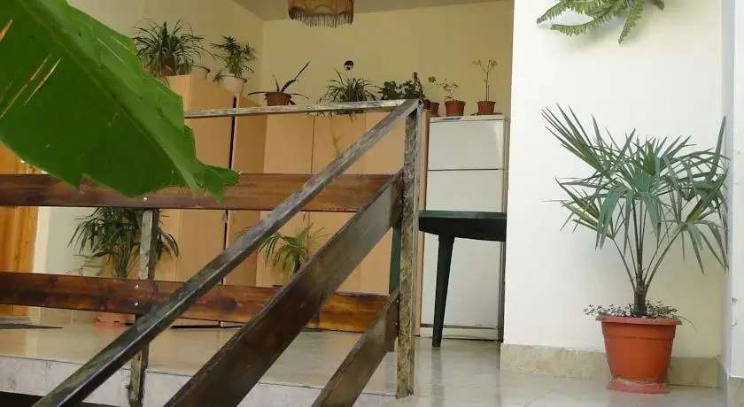 Afalina Guest House