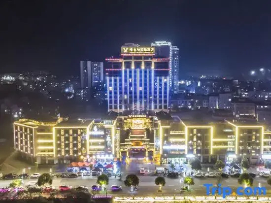 Vienna International Hotel (Ningming Huashan)