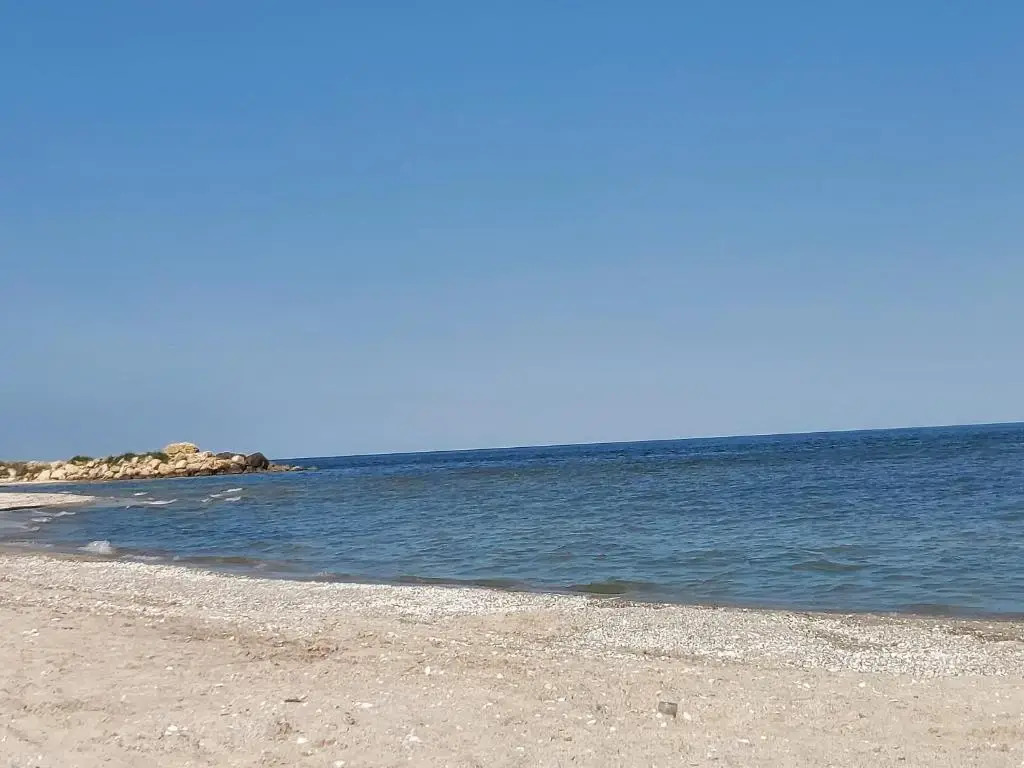 La Olteanu