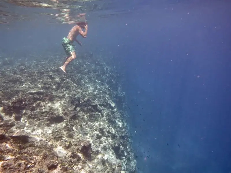 Dive Point Alcoy
