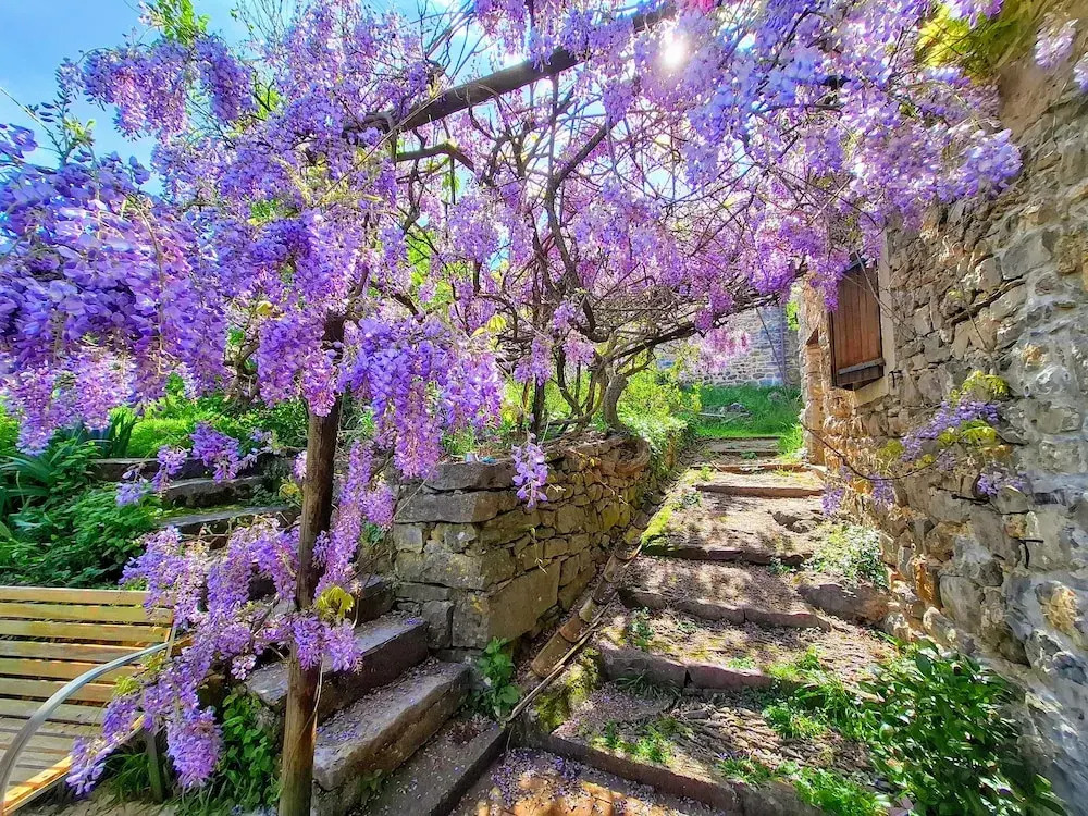 Maison d'hôtes - Mas de Boissière