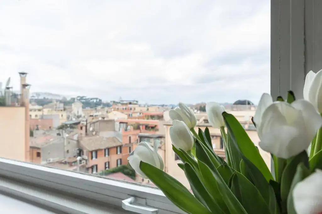 Amazing apartments with terrace or rooftop in Trastevere