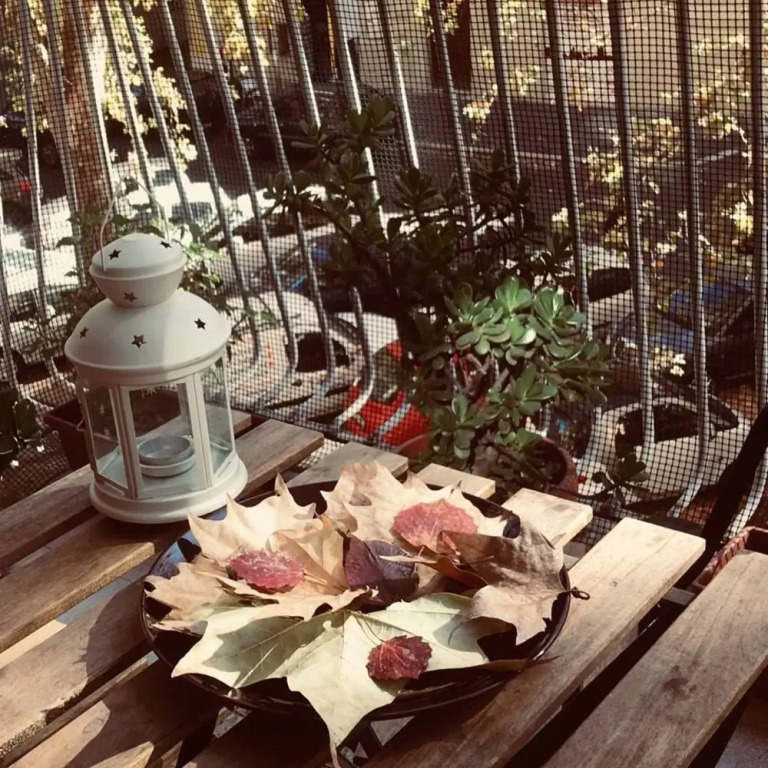 B&B Stelle Di Roma