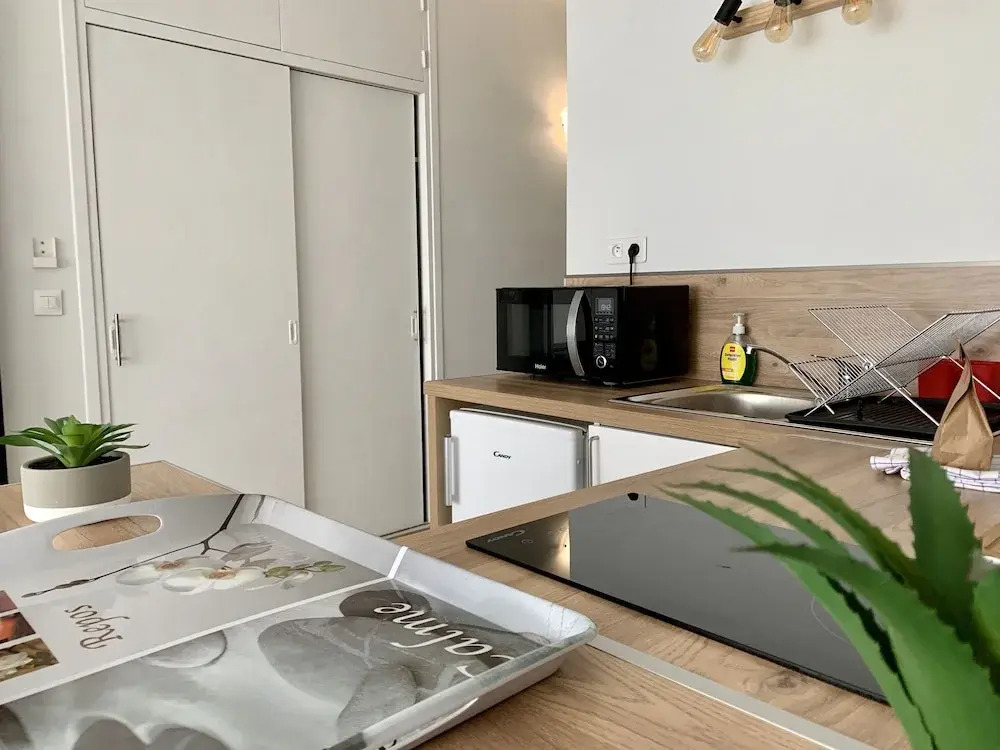Appartement Le Morpho