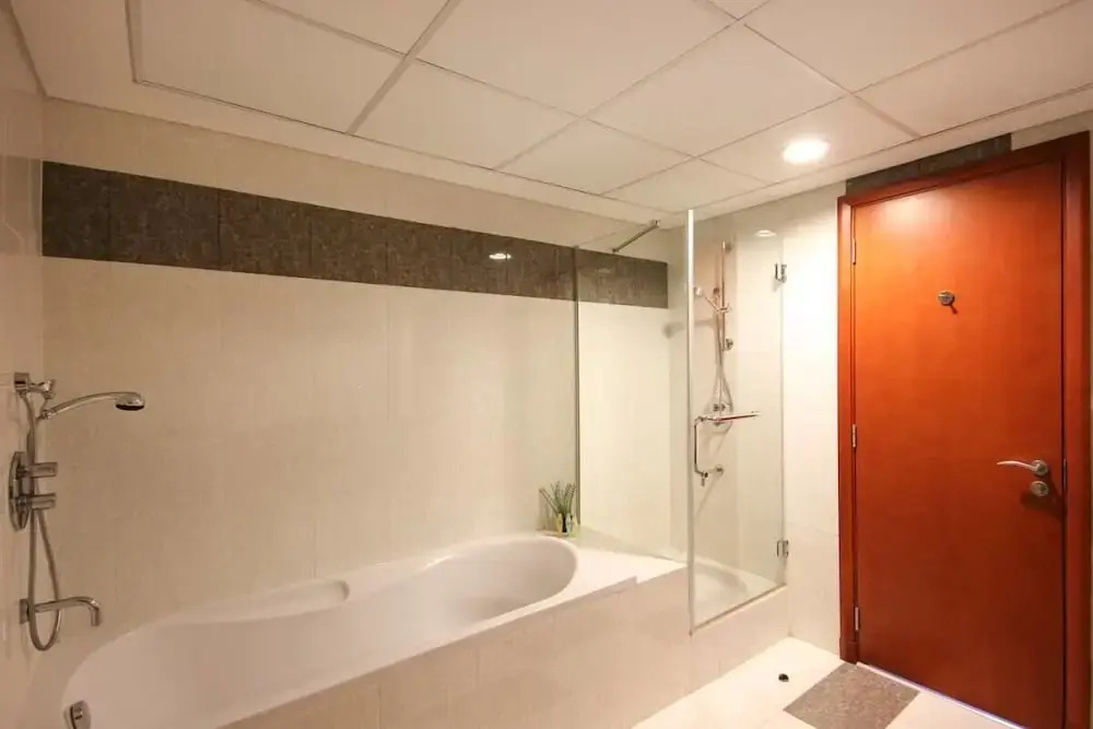 Spacious Apartment in the Classic Park Towers