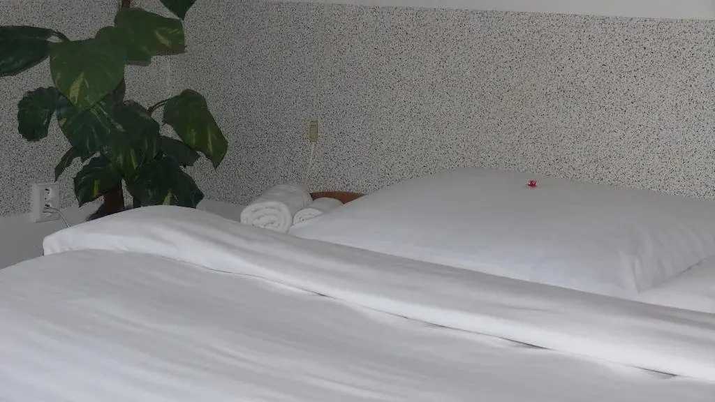 Hotel Styl Hlinsko
