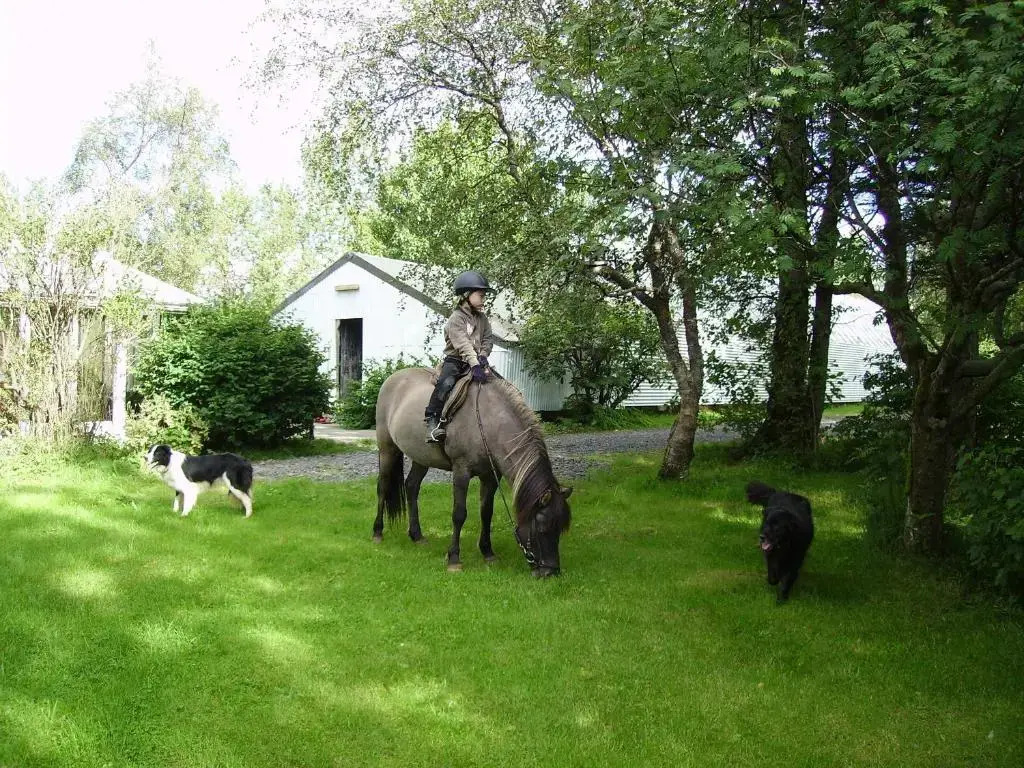 Árbakki Farmhouse Lodge