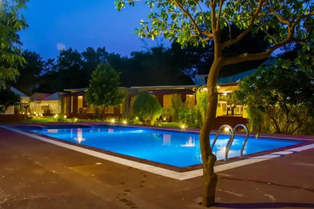 Jungle View Resort