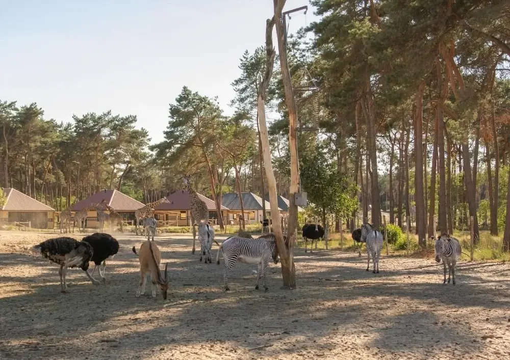 Safari Resort Beekse Bergen