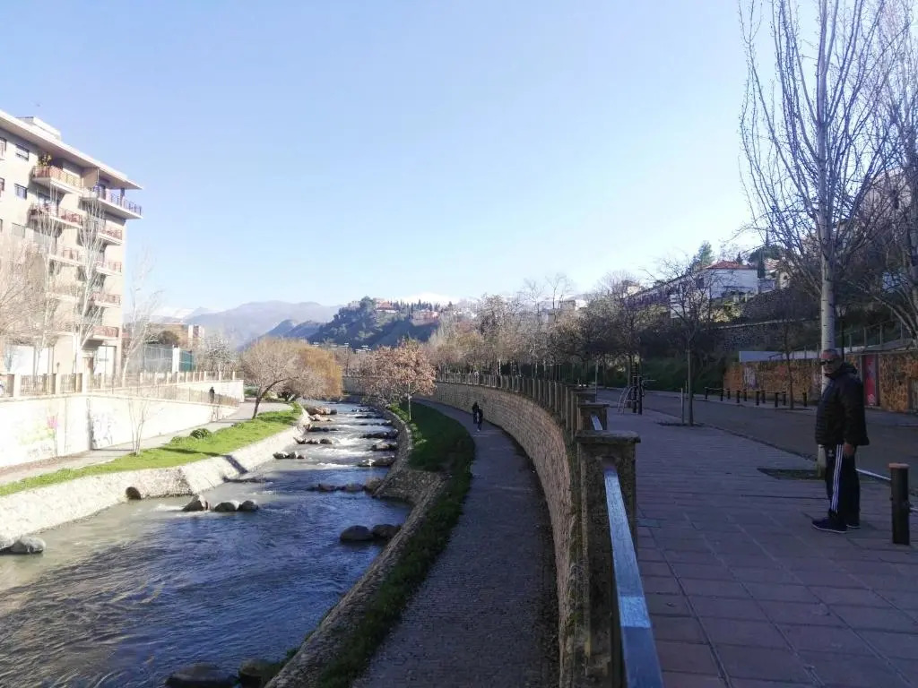 Apartamento: El Rincón de Felisa.
